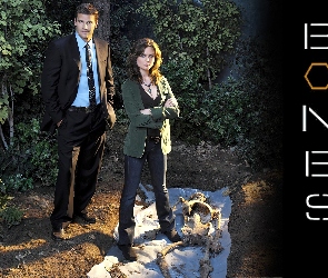 Bones, Emily Deschanel, David Boreanaz, Kości, Serial