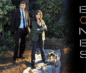 Serial, Emily Deschanel, Kości, David Boreanaz, Bones