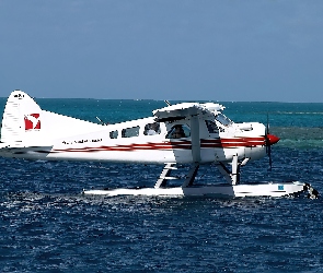 De Havilland DHC-2