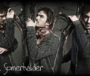 Ian Somerhalder, The Vampire Diaries, Pamiętniki wampirów