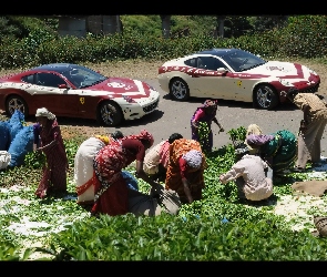 Afryka, Ferrari 612 Scaglietti