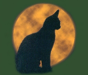 Halloween, księżyc, kotek