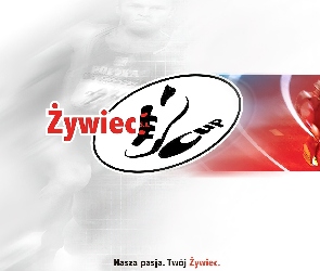 Piwo, Piwo Żywiec