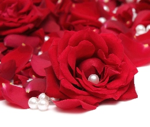 Róże, Perły, Czerwone