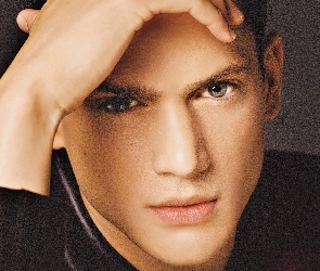 Wentworth Miller, szare oczy