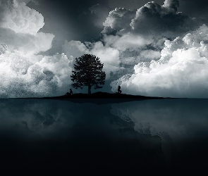 Chmury, Wyspa, Drzewo