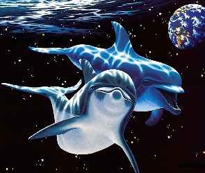 Delfiny, Gwiazdy