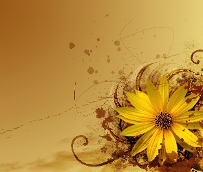 Kwiat, Słonecznik, Tekstury