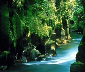 Rzeka, Nowa Zelandia