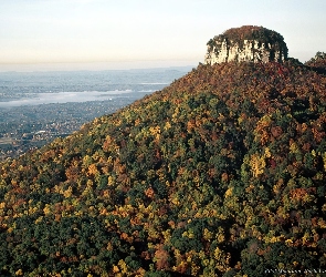 Góra, Drzewa