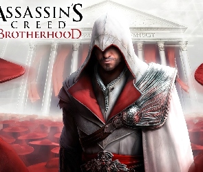 Assassins Creed, Brotherhood