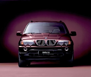 Wiśniowe, X5