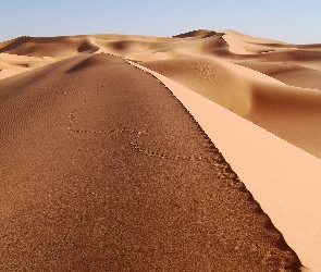 Ślady, Stóp, Pustynia