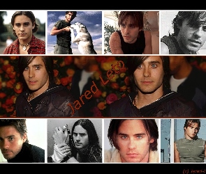 Jared Leto, niebieskie oczy