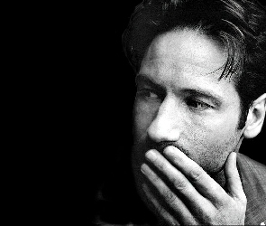 wąsy, broda, David Duchovny