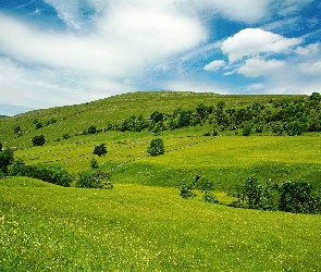 Łąka, Chmury, Zielona