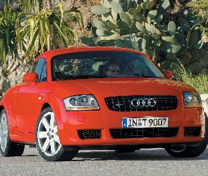 Audi TT, Czerwone