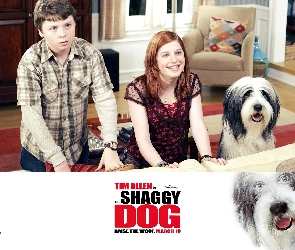 pokój, dzieci, The Shaggy Dog, pies