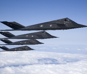 F 117 Nighthawk, Flota