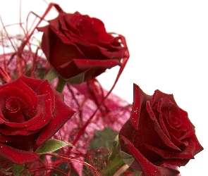 Czerwonych, Róż, Wiązanka