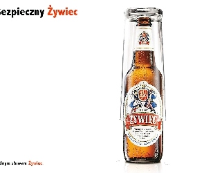 Piwo Żywiec, szklanka, Piwo