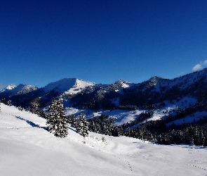 Zima, Śnieg