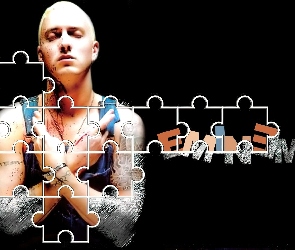 Eminem, Puzzle