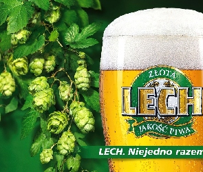 Piwo, Lech
