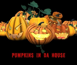 Halloween, dynie