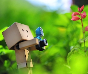 Danbo, Fotograf