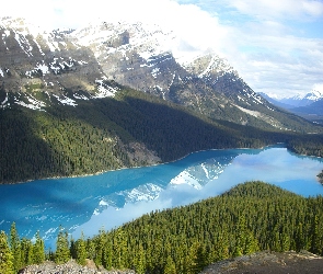 Park Narodowy Banff, Lasy, Jezioro Peyto Lake, Góry Canadian Rockies, Kanada