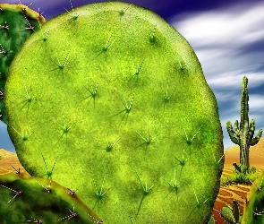Kaktus, Pustynia