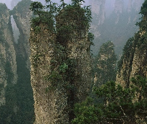 Góry, Drzewa, Strome