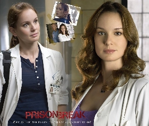 Skazany na śmierć, okno, fartuch, Sarah Wayne Callies, Prison Break