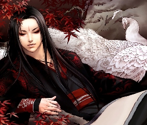 Paw, Biały, Dziewczyna, Kimono
