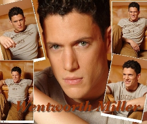 szare oczy, Wentworth Miller