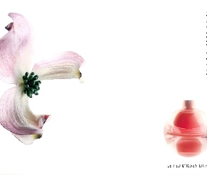 Issey Miyake, perfumy, flakon, kwiat