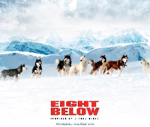 Eight Below, Antarktyda