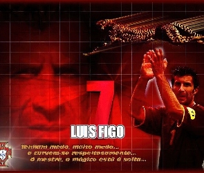 Piłka nożna, Luis Figo