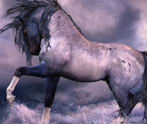 Koń, Chmury, Woda