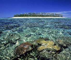 Ocean, Wyspa