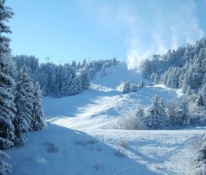 Śnieg, Stok, Drzewa