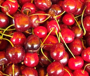 Wisienki, Ogonki
