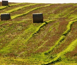 Słomy, Bele