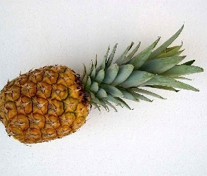 Zielony, Pióropusz, Ananas