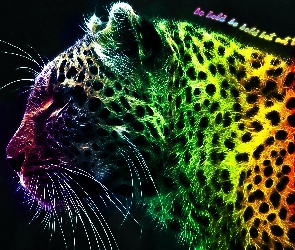 Leopard, Fractalius, Kolorowy
