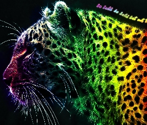 Leopard, Fractalius, Kolorowy