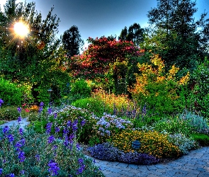Ogród, Słońce, Piękny