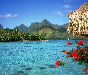 Bora, Bora, Tranquil, Lagoon