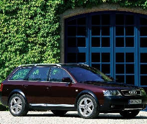 Audi Allroad, Wiśniowe